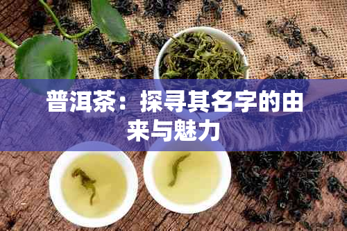 普洱茶：探寻其名字的由来与魅力