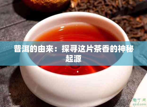 普洱的由来：探寻这片茶香的神秘起源