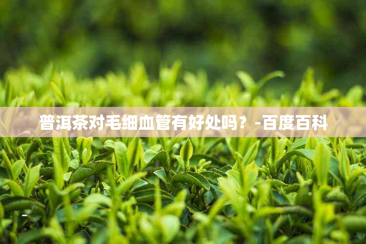 普洱茶对毛细血管有好处吗？-百度百科