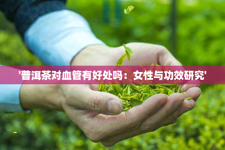 '普洱茶对血管有好处吗：女性与功效研究'