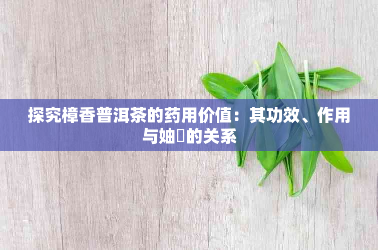 探究樟香普洱茶的用价值：其功效、作用与妯熼的关系