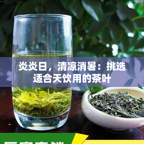 炎炎日，清凉消暑：挑选适合天饮用的茶叶