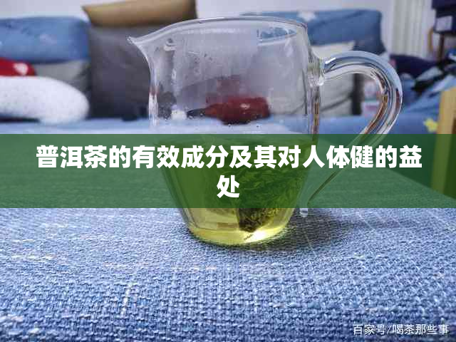 普洱茶的有效成分及其对人体健的益处