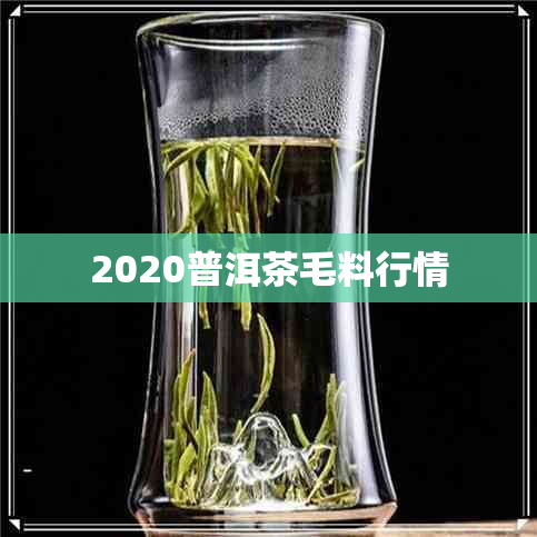 2020普洱茶毛料行情