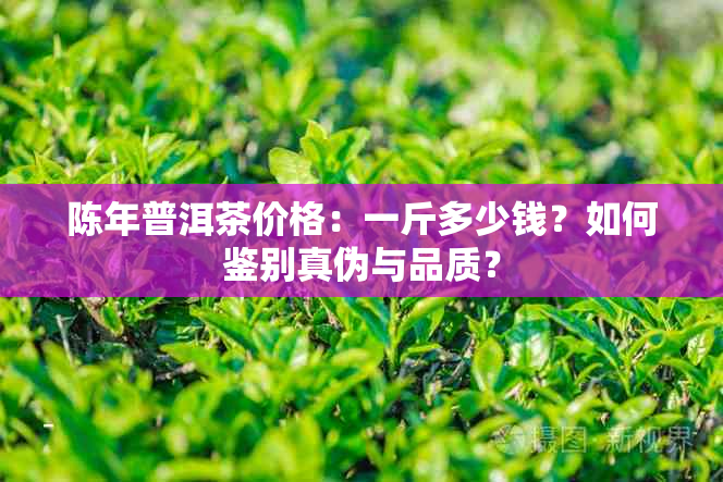 陈年普洱茶价格：一斤多少钱？如何鉴别真伪与品质？