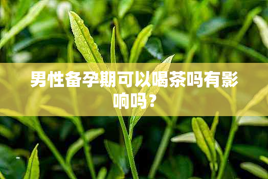 男性备孕期可以喝茶吗有影响吗？