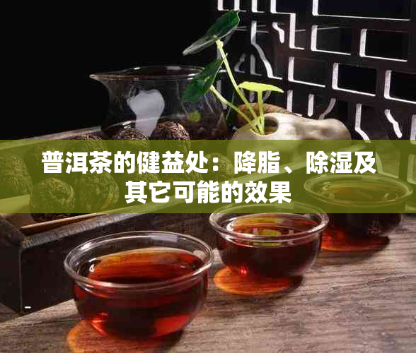 普洱茶的健益处：降脂、除湿及其它可能的效果