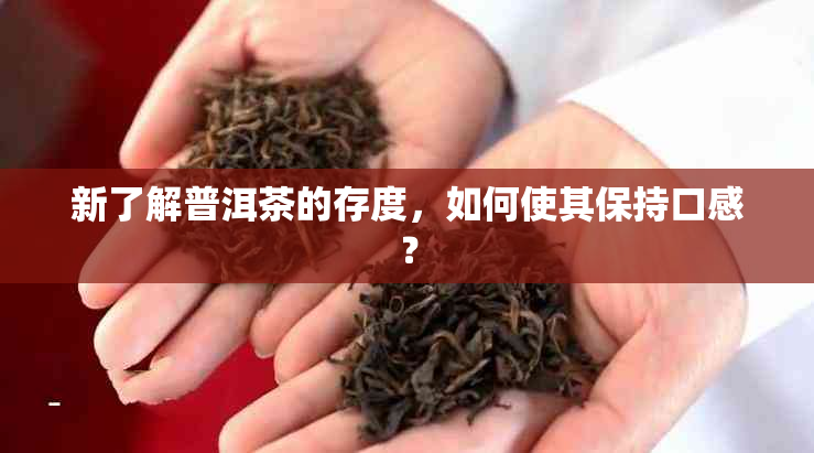 新了解普洱茶的存度，如何使其保持口感？