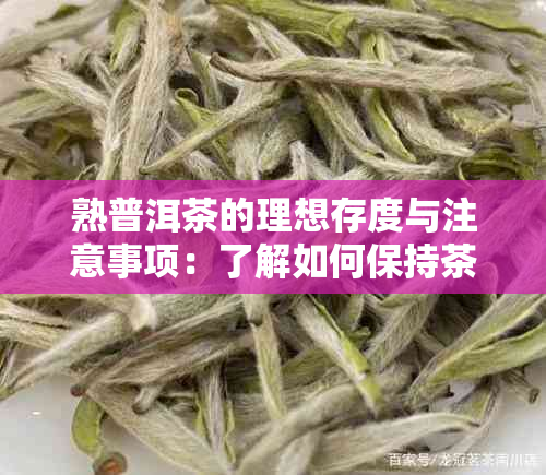 熟普洱茶的理想存度与注意事项：了解如何保持茶叶品质