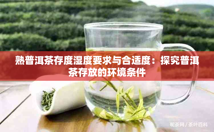 熟普洱茶存度湿度要求与合适度：探究普洱茶存放的环境条件