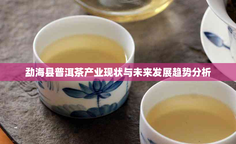 勐海县普洱茶产业现状与未来发展趋势分析