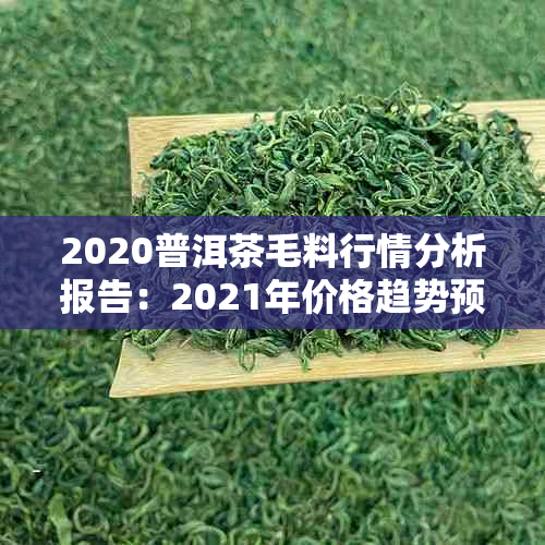 2020普洱茶毛料行情分析报告：2021年价格趋势预测与市场动态