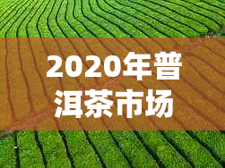 2020年普洱茶市场分析：毛料价格波动与消费者需求趋势