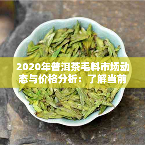 2020年普洱茶毛料市场动态与价格分析：了解当前行情及未来走势