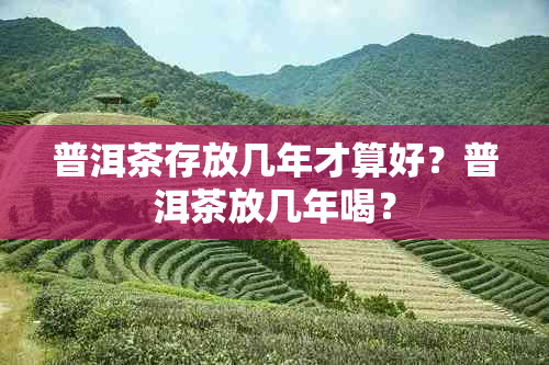 普洱茶存放几年才算好？普洱茶放几年喝？