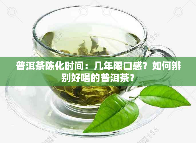 普洱茶陈化时间：几年限口感？如何辨别好喝的普洱茶？