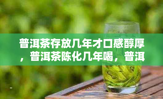 普洱茶存放几年才口感醇厚，普洱茶陈化几年喝，普洱茶存放多久味道更佳