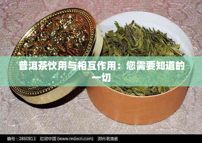 普洱茶饮用与相互作用：您需要知道的一切