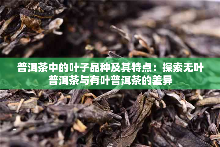 普洱茶中的叶子品种及其特点：探索无叶普洱茶与有叶普洱茶的差异