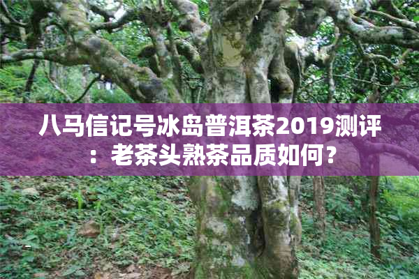 八马信记号冰岛普洱茶2019测评：老茶头熟茶品质如何？