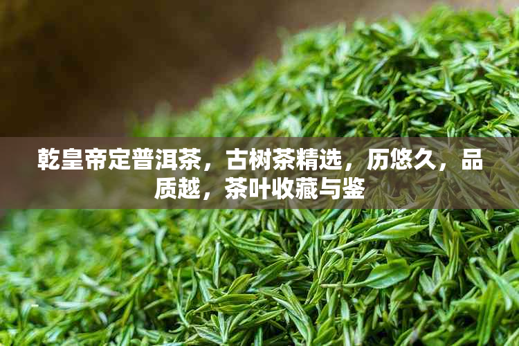 乾皇帝定普洱茶，古树茶精选，历悠久，品质越，茶叶收藏与鉴