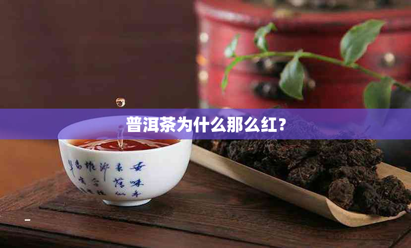 普洱茶为什么那么红？