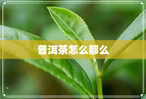 普洱茶怎么那么