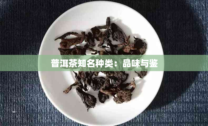 普洱茶知名种类：品味与鉴