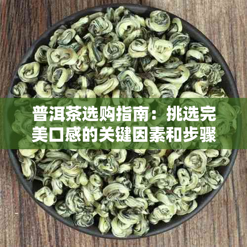 普洱茶选购指南：挑选完美口感的关键因素和步骤