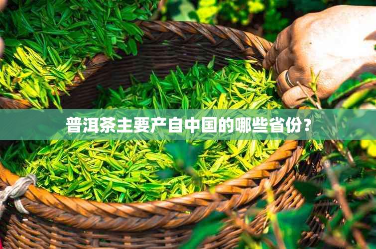 普洱茶主要产自中国的哪些省份？