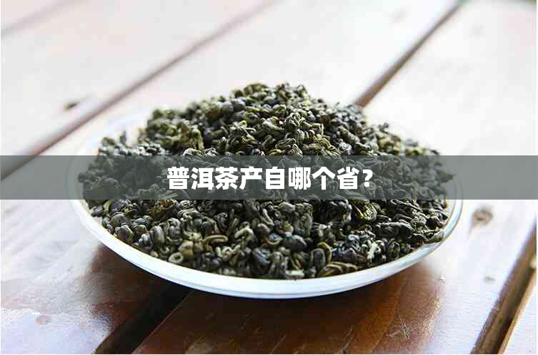 普洱茶产自哪个省？