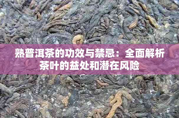 熟普洱茶的功效与禁忌：全面解析茶叶的益处和潜在风险