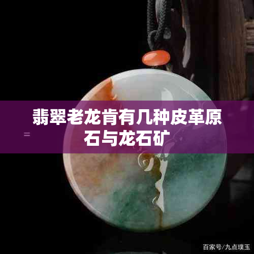 翡翠老龙肯有几种皮革原石与龙石矿