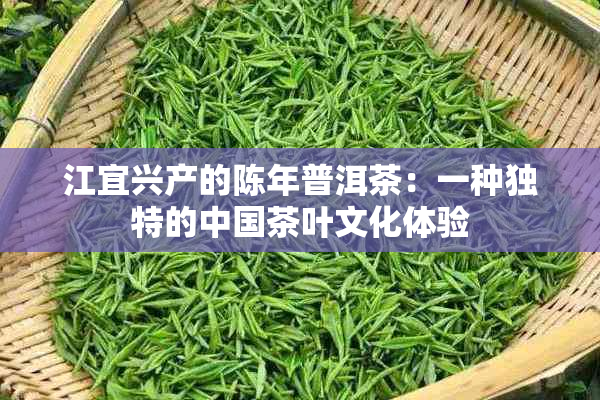 江宜兴产的陈年普洱茶：一种独特的中国茶叶文化体验