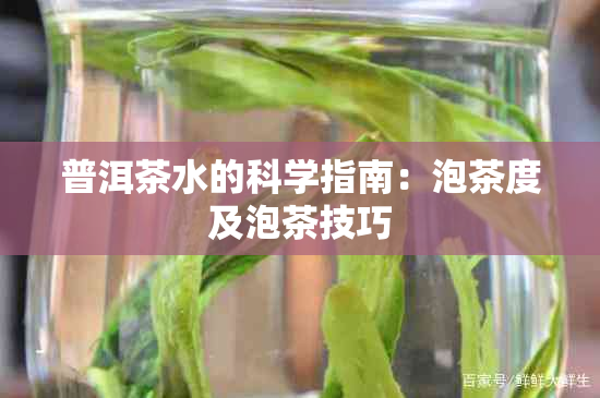 普洱茶水的科学指南：泡茶度及泡茶技巧