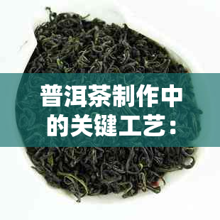 普洱茶制作中的关键工艺：深入探究其独特风味与品质形成机制