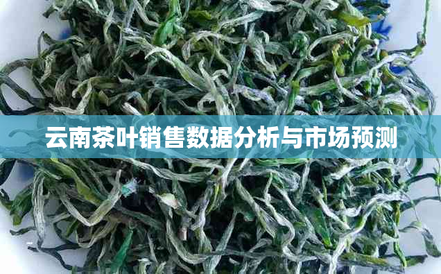 云南茶叶销售数据分析与市场预测