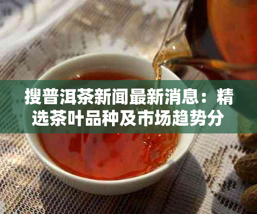 搜普洱茶新闻最新消息：精选茶叶品种及市场趋势分析