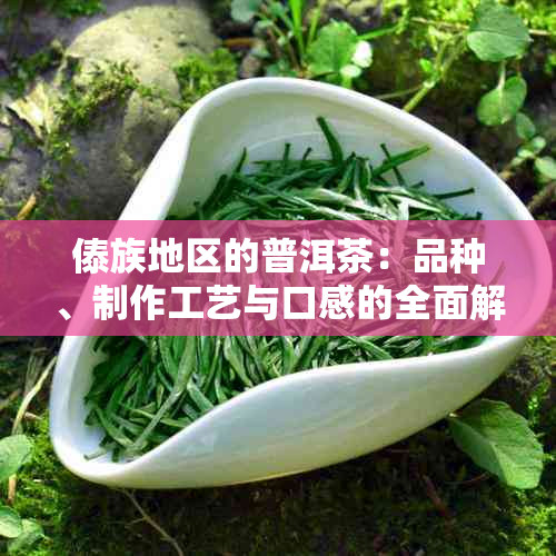 傣族地区的普洱茶：品种、制作工艺与口感的全面解析