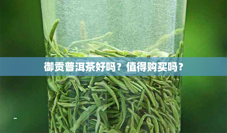 御贡普洱茶好吗？值得购买吗？