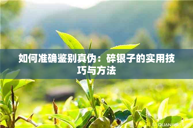 如何准确鉴别真伪：碎银子的实用技巧与方法