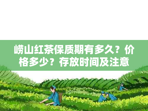 崂山红茶保质期有多久？价格多少？存放时间及注意事项