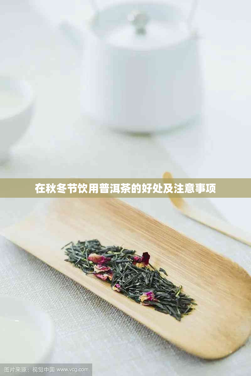 在秋冬节饮用普洱茶的好处及注意事项