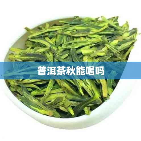 普洱茶秋能喝吗