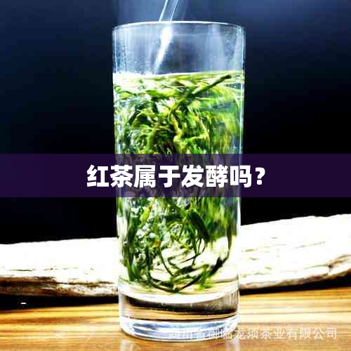 红茶属于发酵吗？