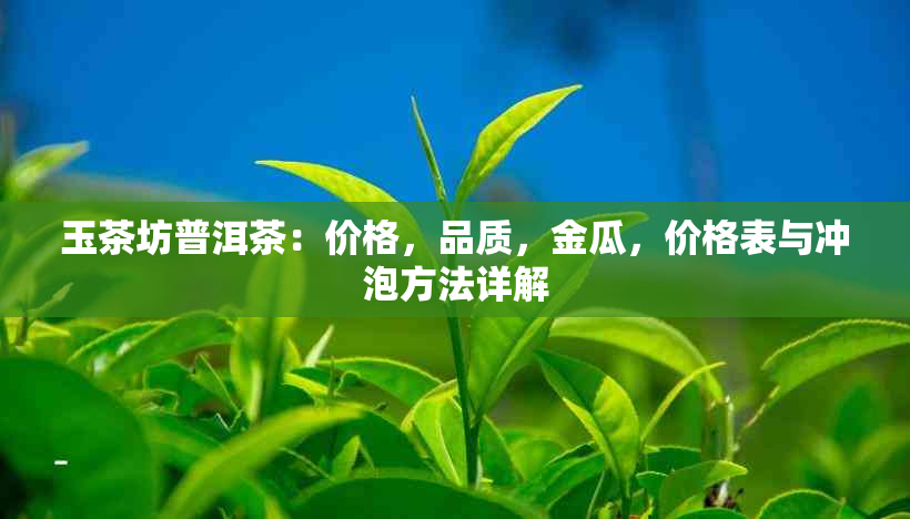 玉茶坊普洱茶：价格，品质，金瓜，价格表与冲泡方法详解