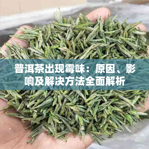 普洱茶出现霉味：原因、影响及解决方法全面解析