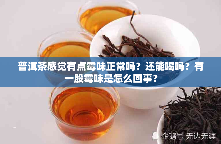 普洱茶感觉有点霉味正常吗？还能喝吗？有一股霉味是怎么回事？