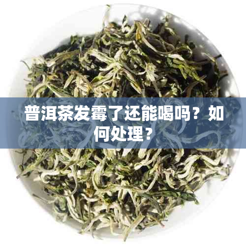 普洱茶发霉了还能喝吗？如何处理？