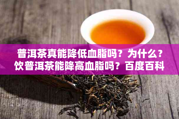 普洱茶真能降低血脂吗？为什么？饮普洱茶能降高血脂吗？百度百科。